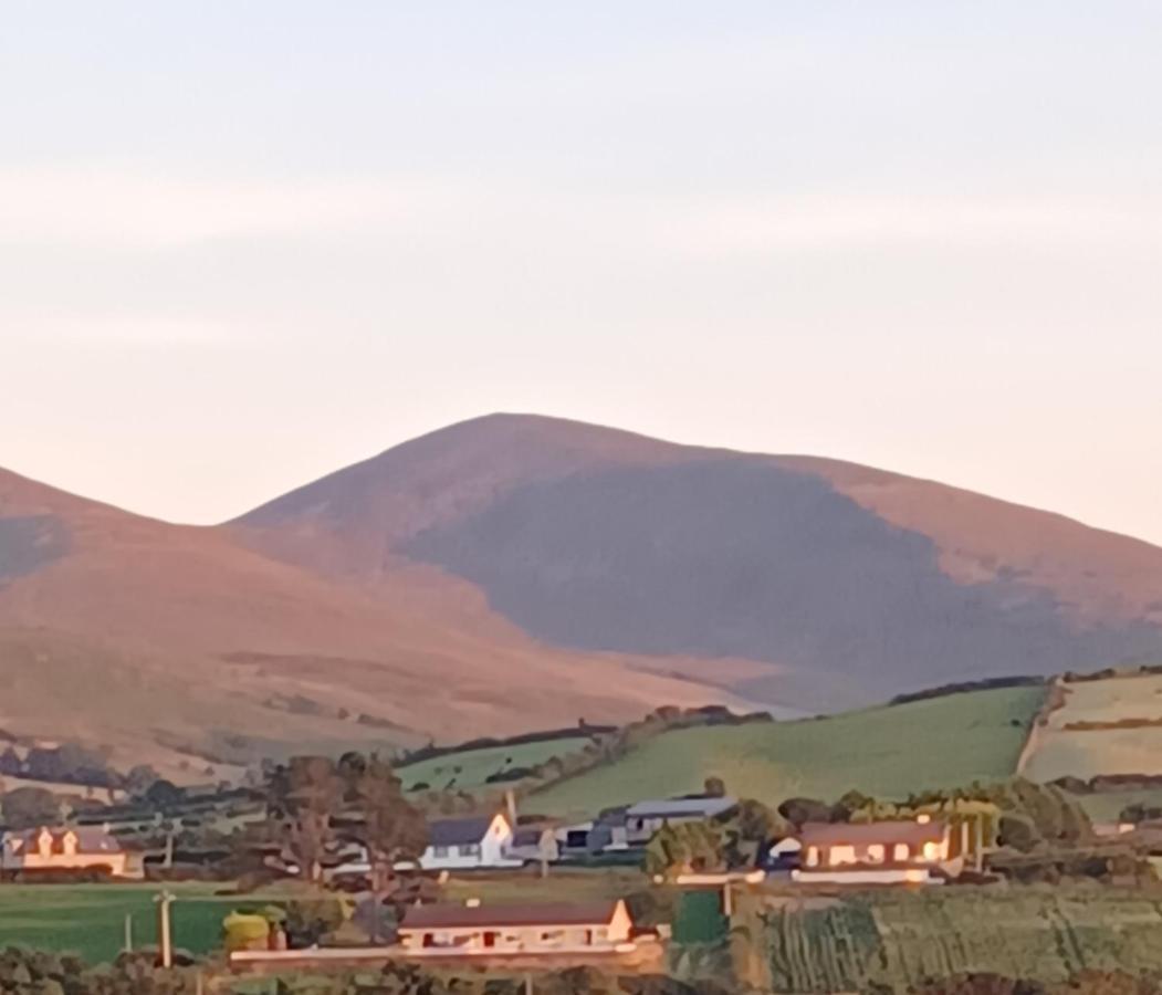 Loughview Retreat In The Mournes Lägenhet Newcastle  Exteriör bild